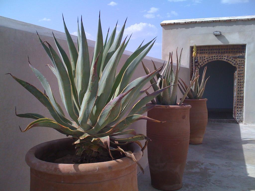 Riad Due Marrakesch Exterior foto